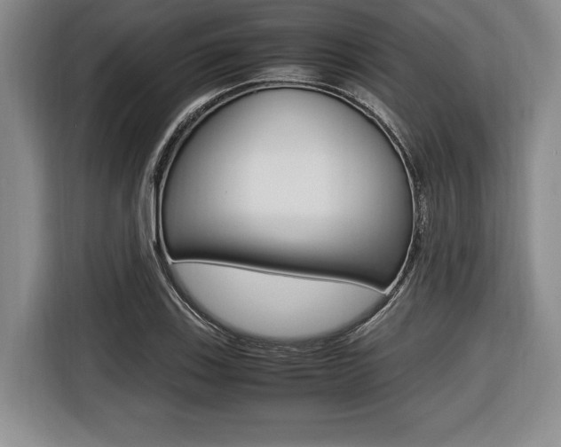 X0000116421123200912081154