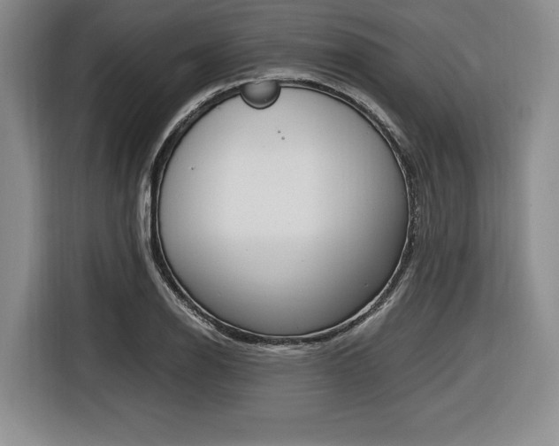 X0000116421126200912081154