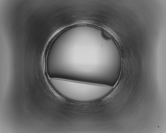 X0000116421127200912081154