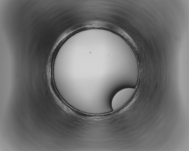 X0000116421130200912081154
