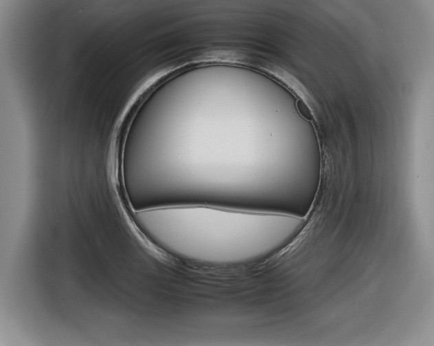 X0000116421131200912081154