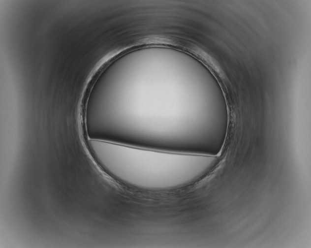 X0000116421133200912081154