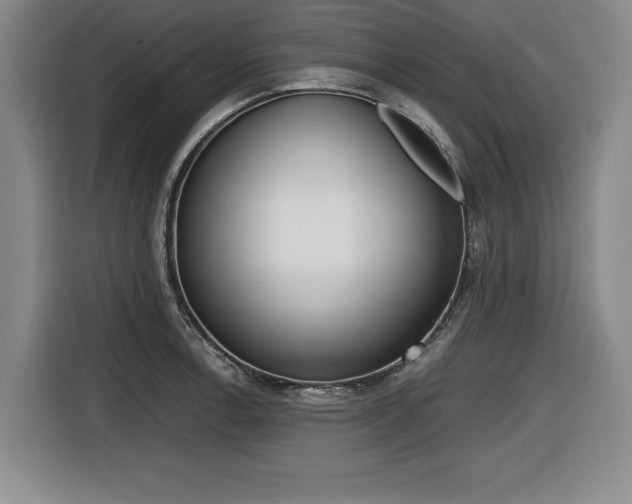 X0000116421138200912081154