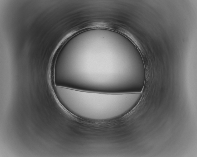X0000116421139200912081154