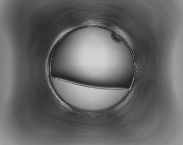 X0000116421141200912081154