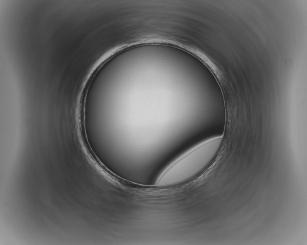 X0000116421142200912081154