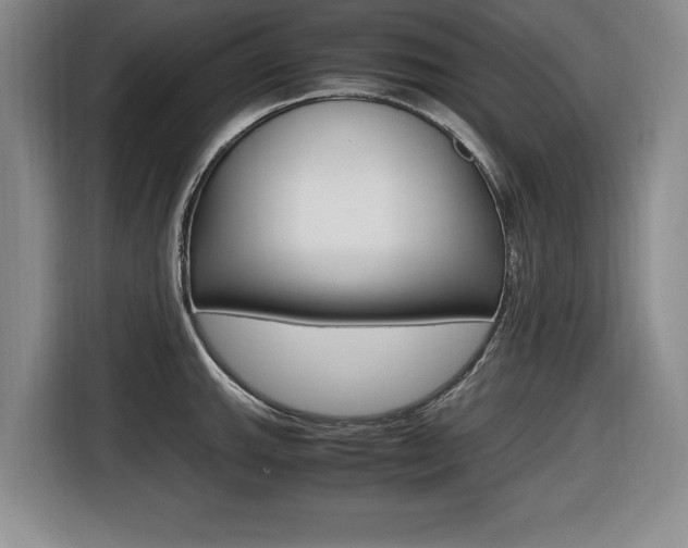 X0000116421143200912081154