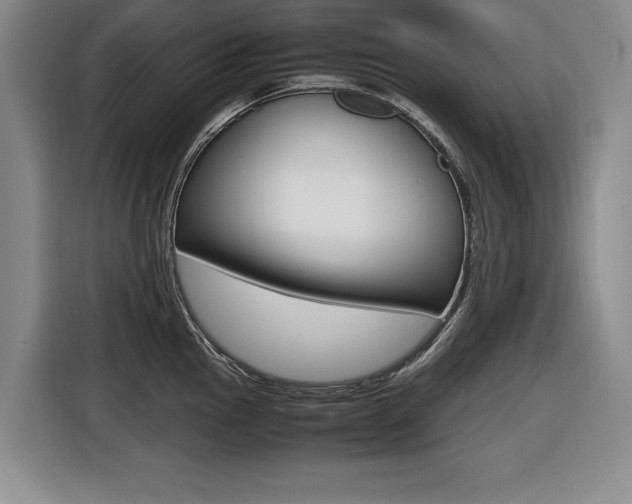 X0000116421145200912081154