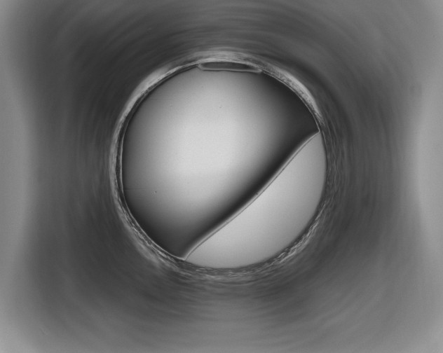 X0000116421146200912081154