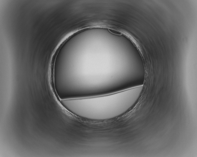 X0000116421147200912081154