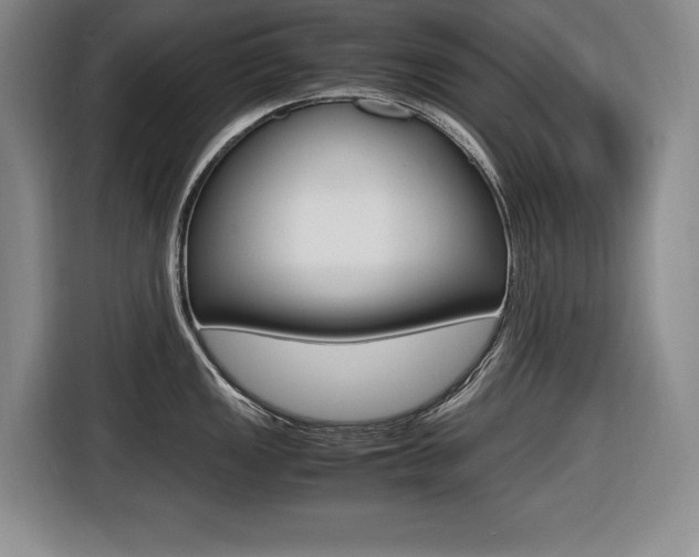 X0000116421149200912081154