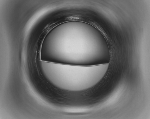 X0000116421151200912081154