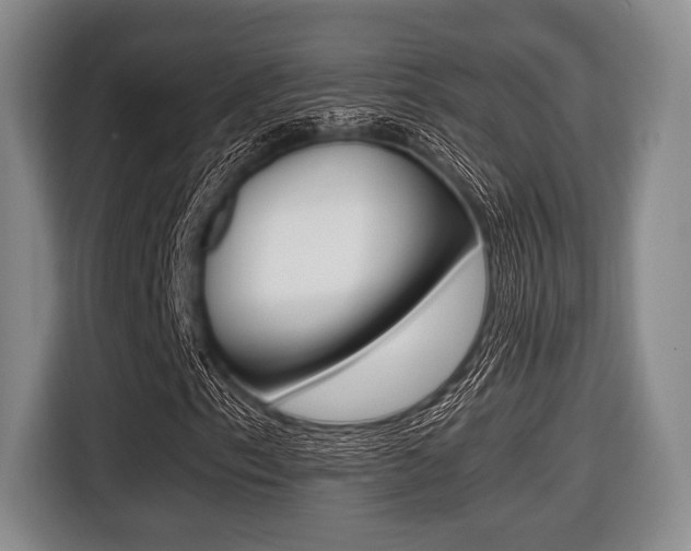 X0000116421153200912081154