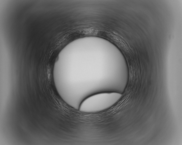 X0000116421154200912081154