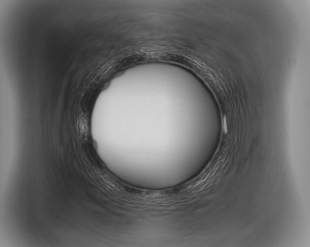 X0000116421155200912081154