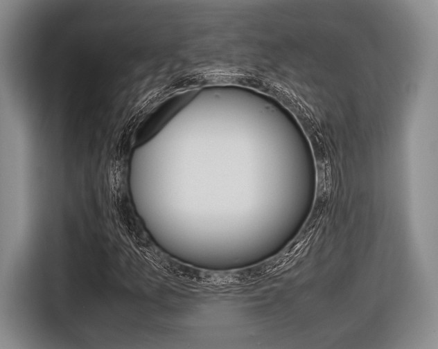 X0000116421157200912081154