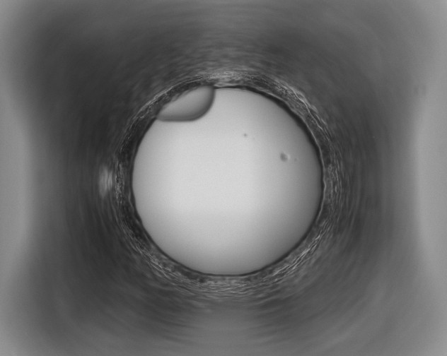X0000116421158200912081154