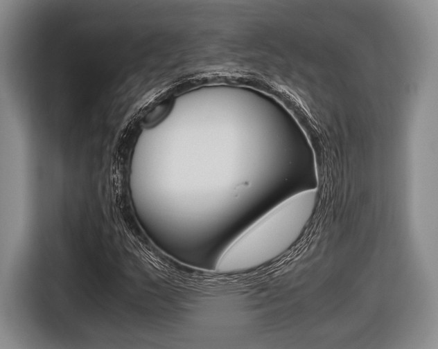 X0000116421159200912081154