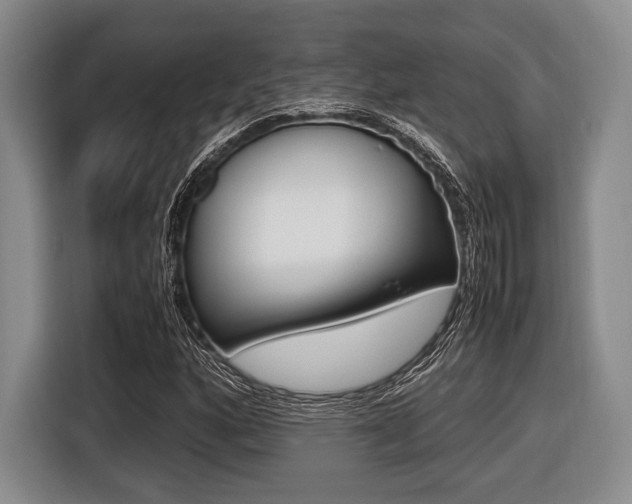X0000116421160200912081154