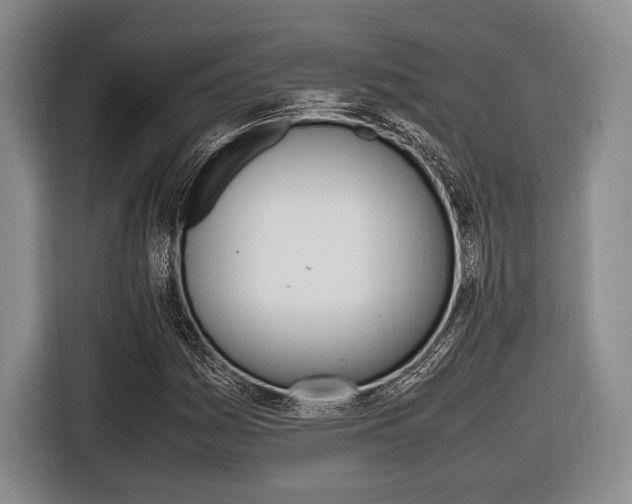 X0000116421161200912081154