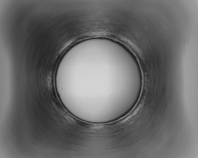 X0000116421162200912081154