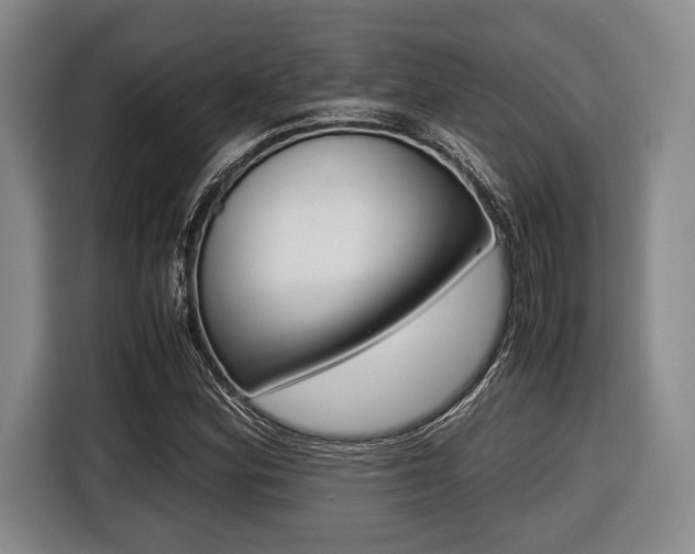 X0000116421164200912081154