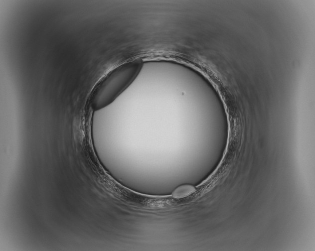 X0000116421165200912081154