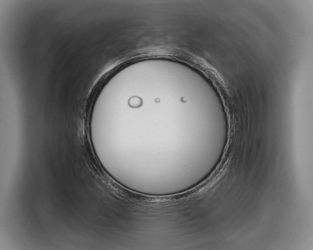 X0000116421166200912081154