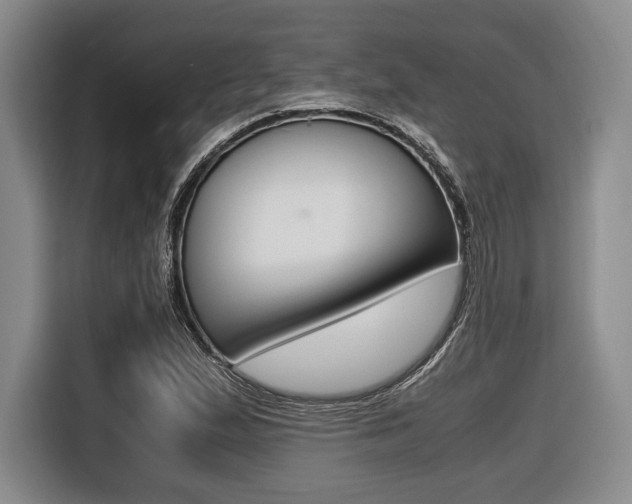 X0000116421167200912081154