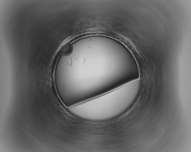 X0000116421168200912081154