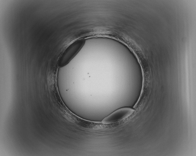 X0000116421169200912081154