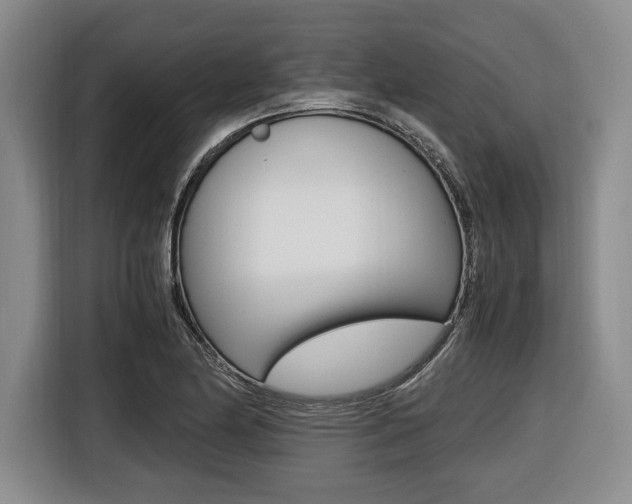 X0000116421174200912081154