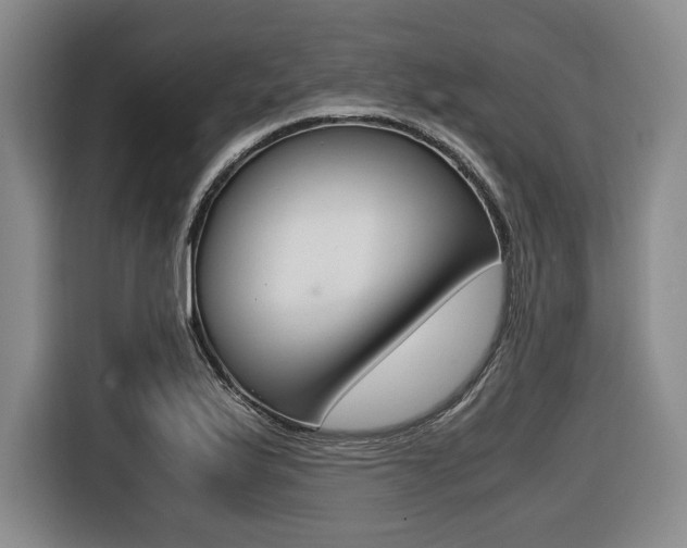 X0000116421175200912081154