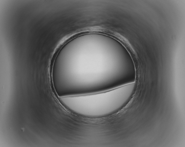 X0000116421176200912081154