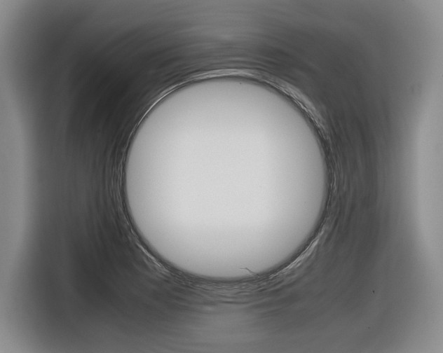 X0000116421177200912081154