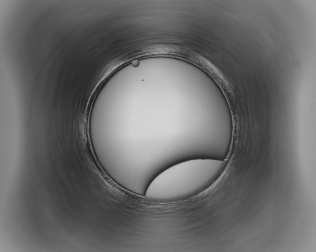 X0000116421178200912081154