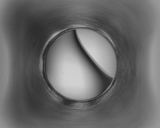 X0000116421179200912081153