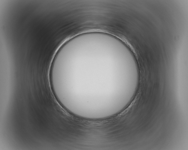 X0000116421181200912081153