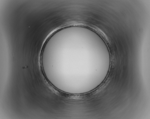 X0000116421182200912081153