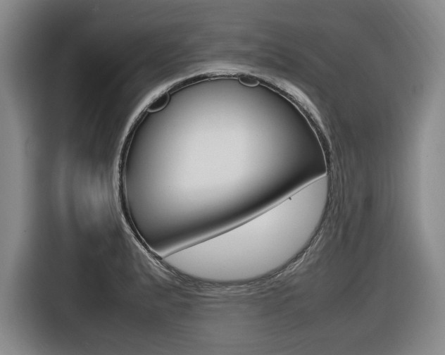 X0000116421183200912081153
