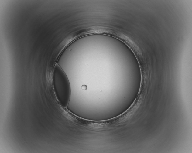 X0000116421185200912081153
