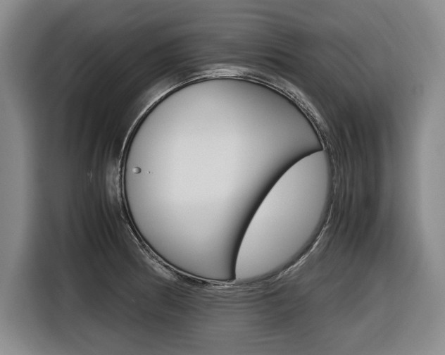 X0000116421186200912081153