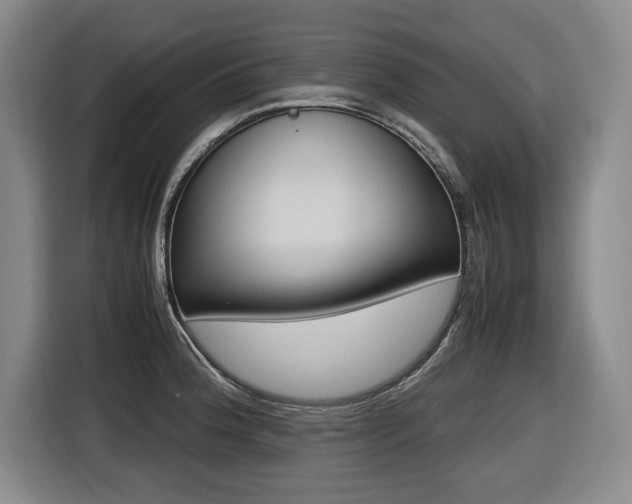 X0000116421188200912081153