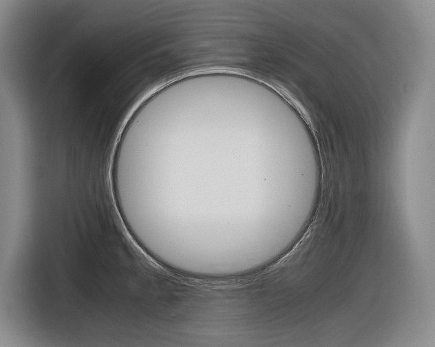 X0000116421189200912081153