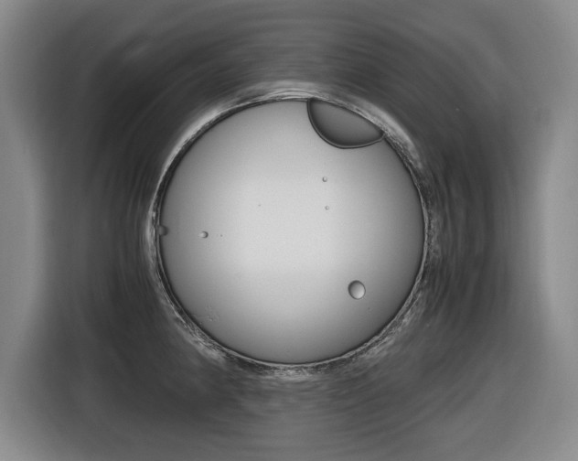 X0000116421190200912081153