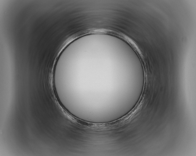 X0000116421194200912081153