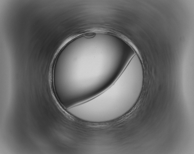 X0000116421195200912081153