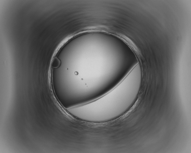 X0000116421196200912081153