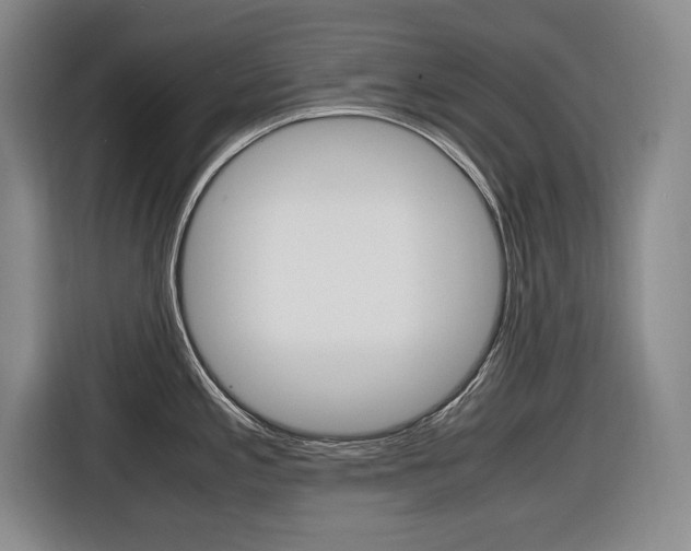 X0000116421197200912081153