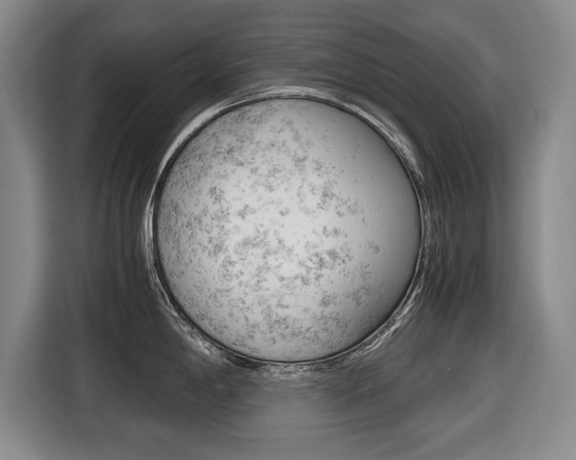 X0000116421198200912081153